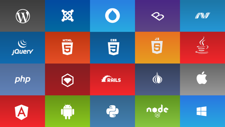 programming languages used by web development companies